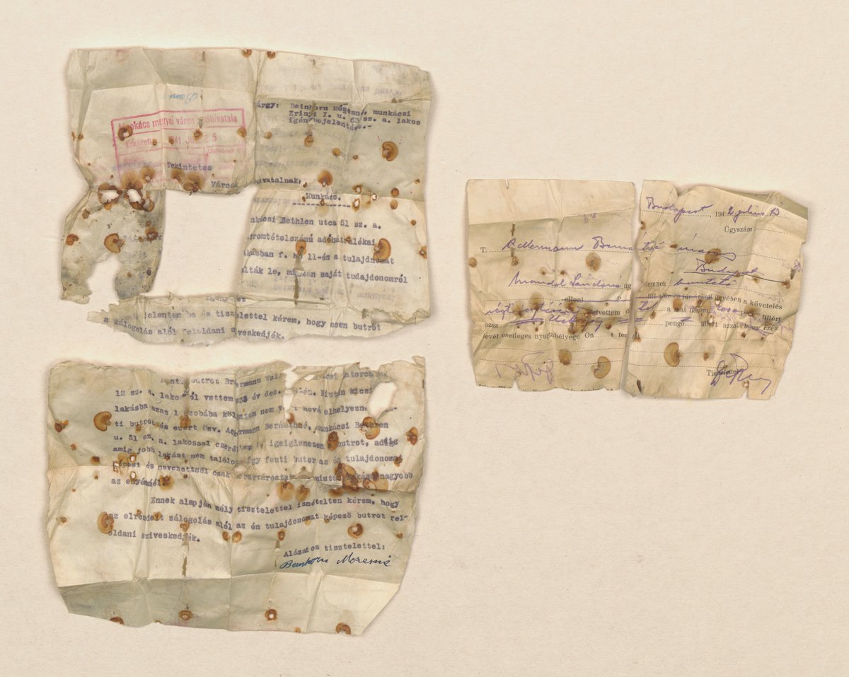 AuschwitzMuseum's tweet photo. A touching #discovery was made during conservation of shoes of child victims of the German Nazi #Auschwitz camp: a handwritten inscription with the name of Amos Steinberg deported from #Theresienstadt Ghetto with his mother &amp; documents in Hungarian: https://t.co/lByKFNXfVc https://t.co/EK3zoYtTYj