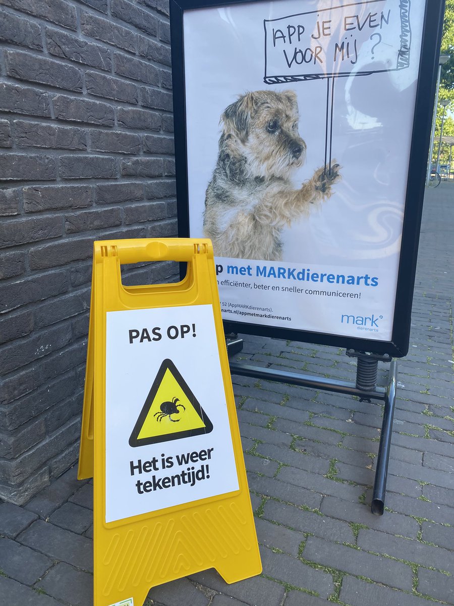 dierenartsmark's tweet photo. Vandaag al 3 mensen aan de balie gehad die aangeven dat ze op vakantie gaan naar buitenland en hun hond meenemen. Wat is er nodig?? #paspoort #vaccinatieRABIES #ontworming #ontvlooing #ietstegenteken #markdierenarts #vleuterweide #utrecht #demeern https://t.co/azs55UOOx3