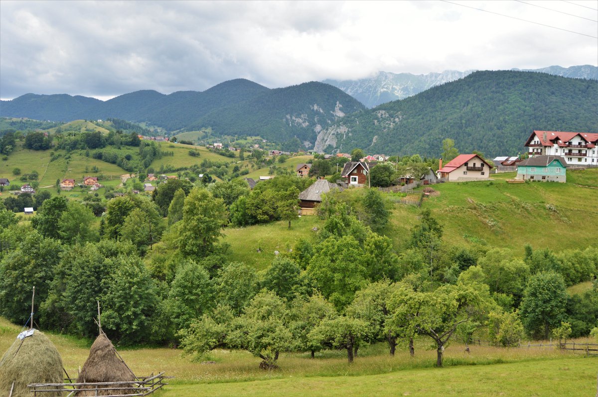 SibiuTourGuide's tweet photo. Check out our villages tour in Romania: https://t.co/4tfSSe6VUM
One day will be here: https://t.co/mUKzrt1WJf