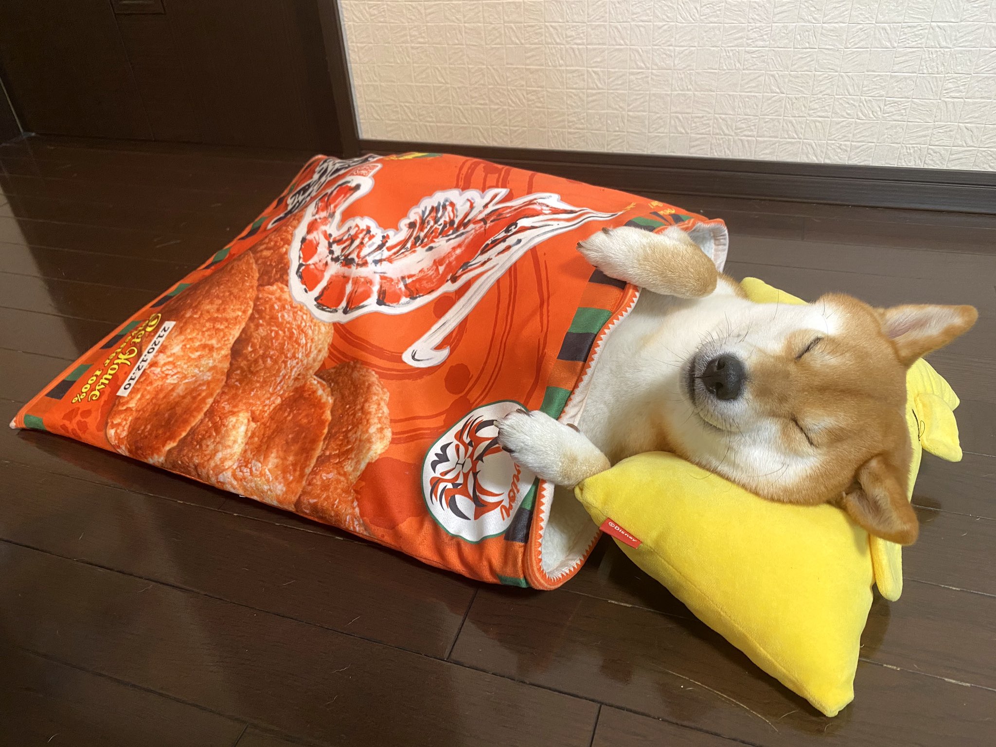 柴犬ゆきちゃん えびせんベッド T Co Hbqxdusuj3 Twitter