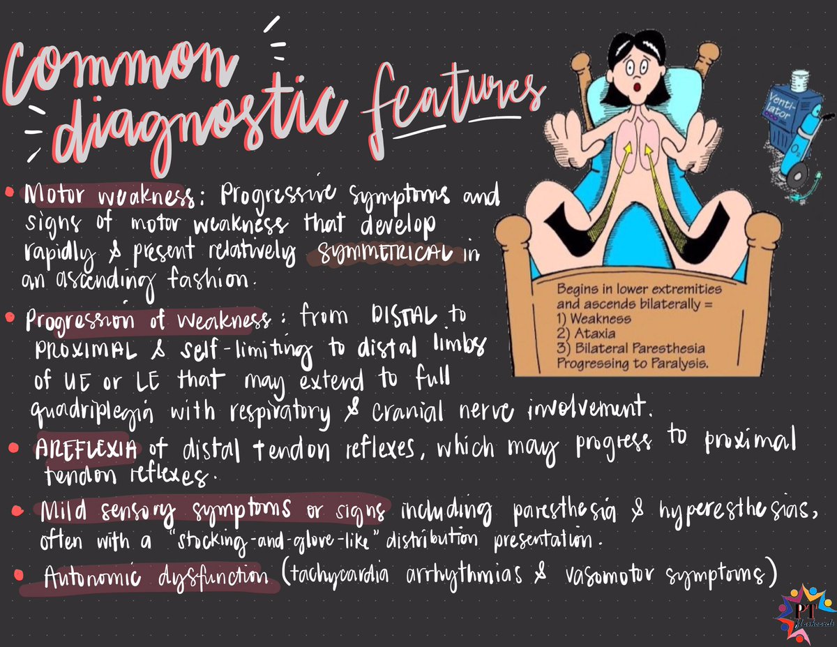 PTFlashcards's tweet photo. Guillain-Barré Syndrome (GBS)/Acute Inflammatory Demyelinating Polyradiculoneuropathy 👨🏻‍🦽

➡️ Pathophysiology
➡️ Etiology
➡️ Common Diagnostic Features
➡️ Prognosis

Referrences: Goodman, Umphred &amp; Sullivan

#NeurologicCondition #GBSAwareness #PhysicalTherapy #PTknows #PTstudygram https://t.co/LJz8U04fNF