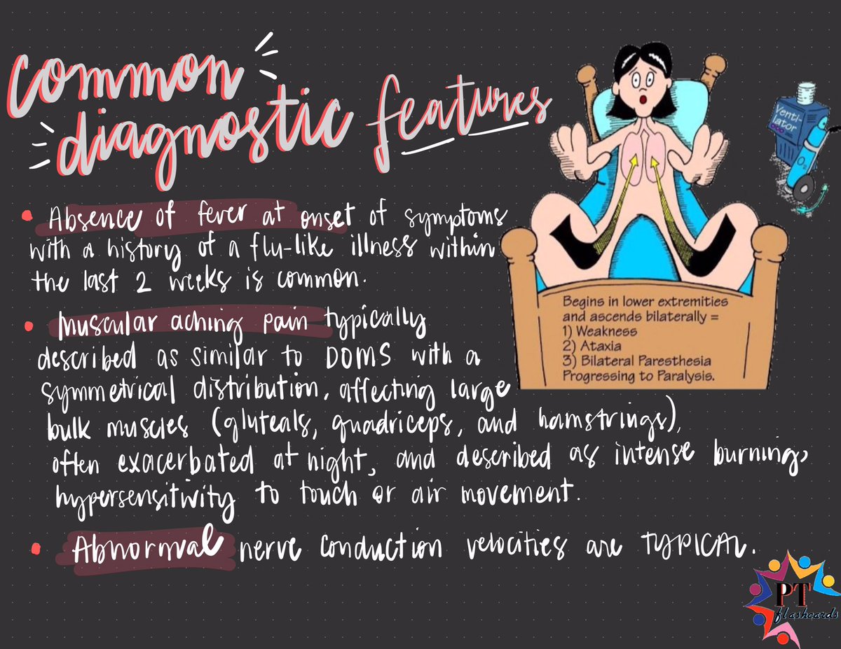PTFlashcards's tweet photo. Guillain-Barré Syndrome (GBS)/Acute Inflammatory Demyelinating Polyradiculoneuropathy 👨🏻‍🦽

➡️ Pathophysiology
➡️ Etiology
➡️ Common Diagnostic Features
➡️ Prognosis

Referrences: Goodman, Umphred &amp; Sullivan

#NeurologicCondition #GBSAwareness #PhysicalTherapy #PTknows #PTstudygram https://t.co/LJz8U04fNF