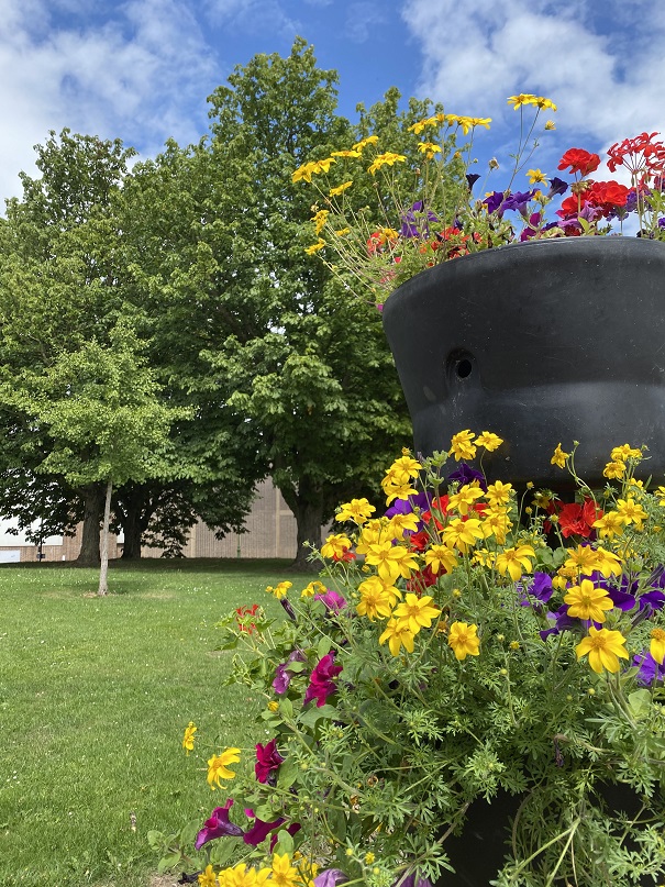 DerbyCQ's tweet image. The Cathedral Quarter BID have once again funded a number of floral displays in the area this summer. An increased number of planters have been installed around the area adding a colourful flourish to the streets.