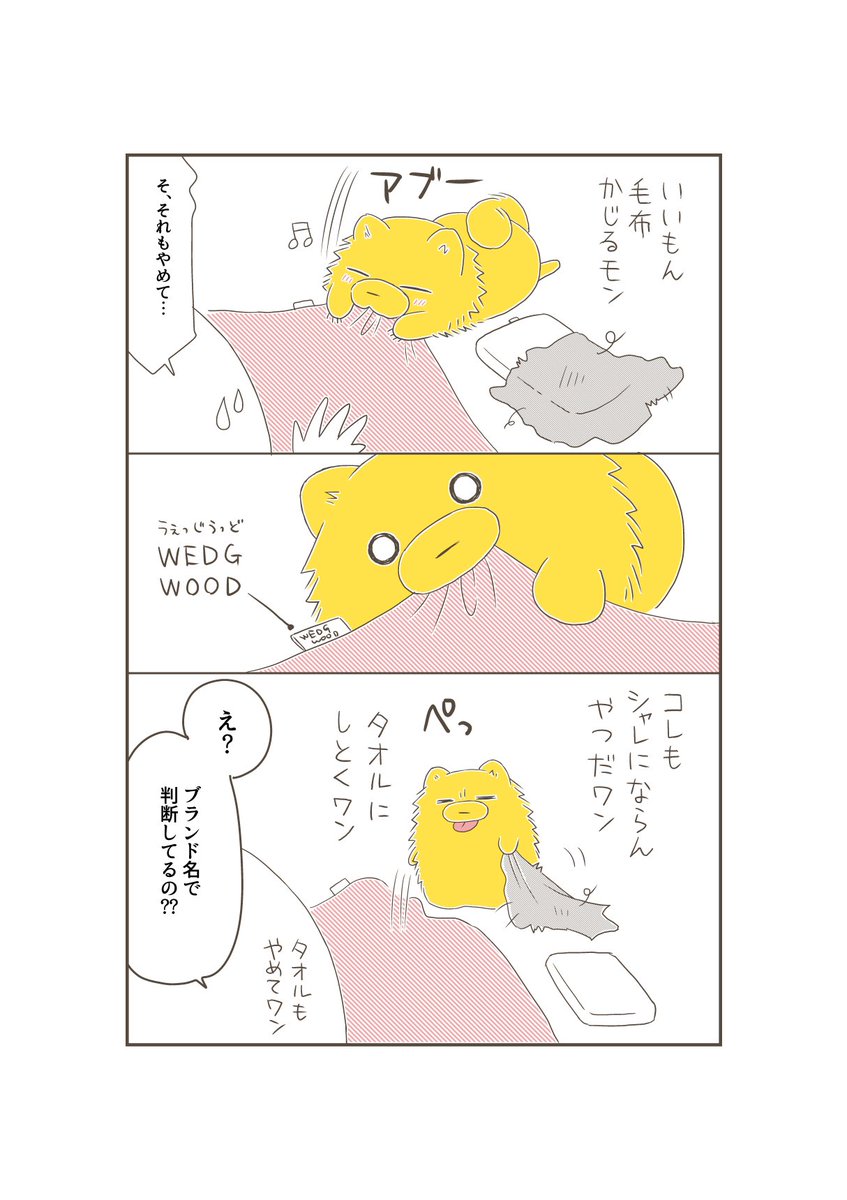 違いのわかる犬。タグを見て判断している…。#宗次郎Jr #ポメラニアン 