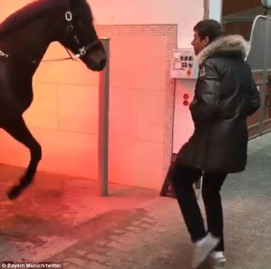  @esmuellert_ as emojis a threadLikes and retweets appreciated