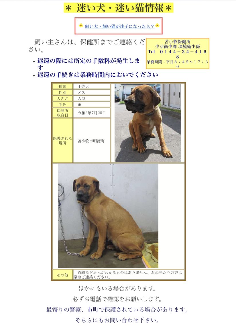 北海道 保健所 里親募集 V Twitter 苫小牧保健所さん あれから募集にゃんが増えていました みんな可愛らしいおちびにゃんです 目やにが出ている子もいるそう 迷子の土佐犬さんは女の子です 悲しそうに見えます 拡散希望 里親募集 北海道 保健所 苫小牧