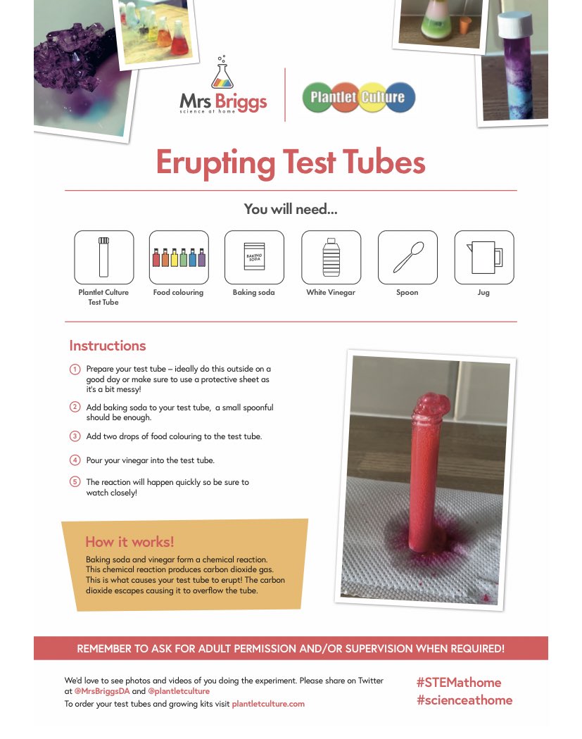 plantletculture's tweet image. Once you have potted your test tube 🧪🌱plant why not try – A 🌋Erupting Test Tube – with your empty tube. 
Thank you @MrsBriggsDA for producing these fab fact sheets 😀
#FFBScience #STEM #distancelearning
