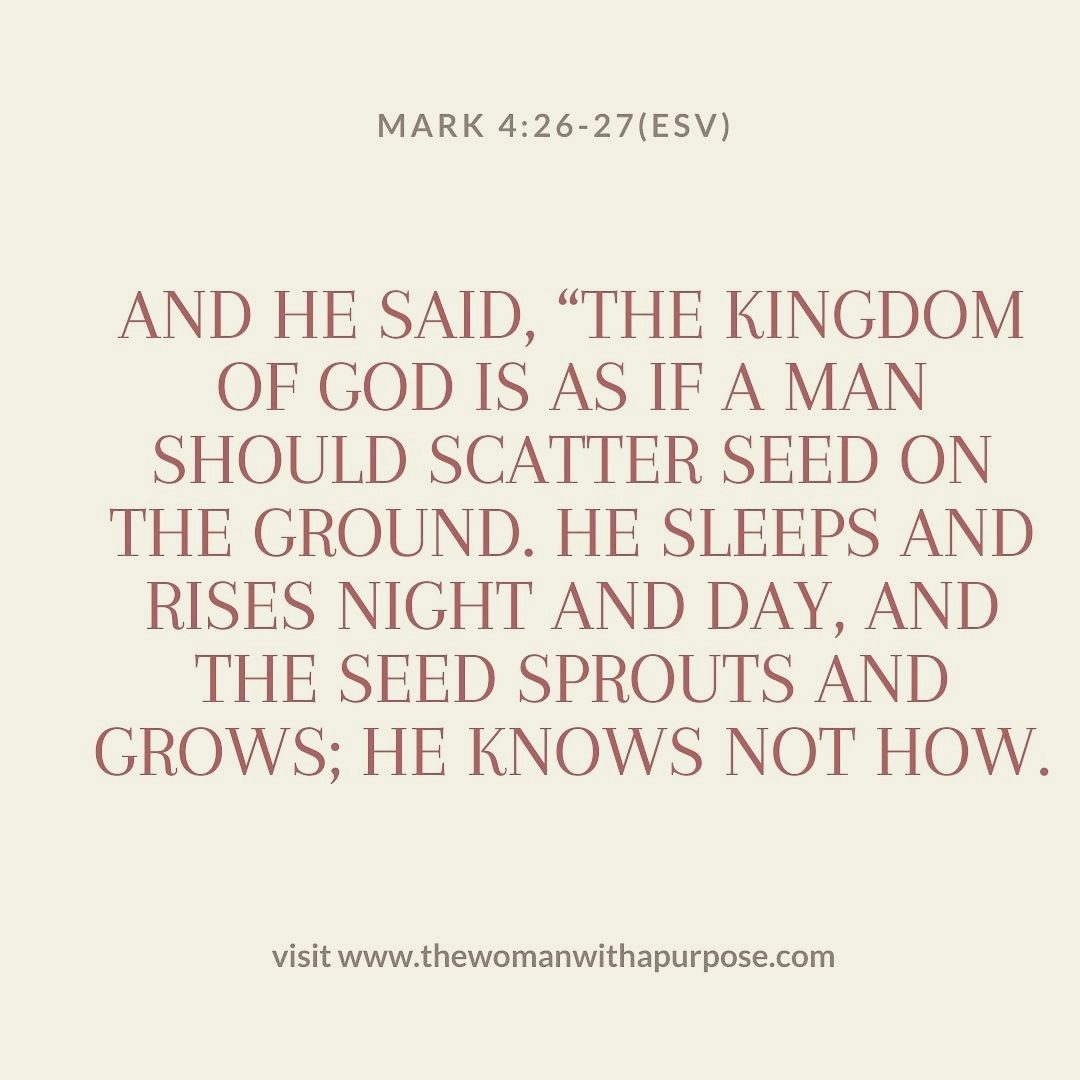 Life is all about seed planting. We can only reap from what we have sown.

Some of the things we are experiencing in our current circumstances is a result of the seeds we planted in time past.

We need to sow good seeds to reap good harvest. No one can avoid this principle.