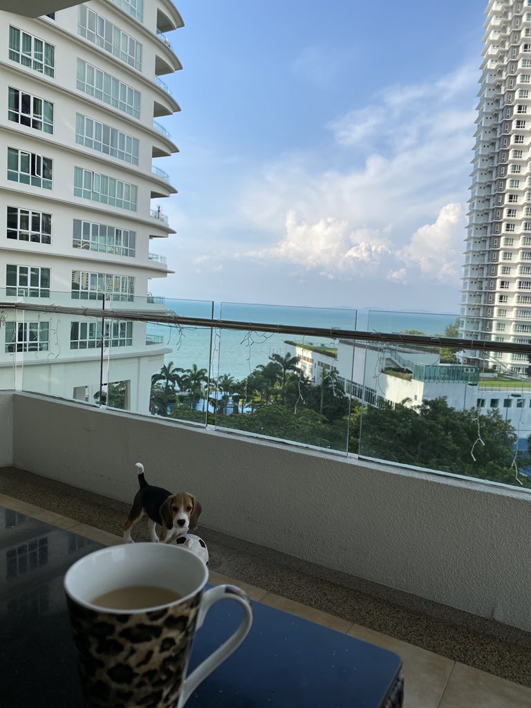 It’s finally the summer holidays... the end of what has been the most difficult term of school that I can remember. Happy to have reached the other side and looking forward to some well-needed time with the fam (puppy included 🐶!) Happy holidays everyone! ☕️🌴🌤🇲🇾