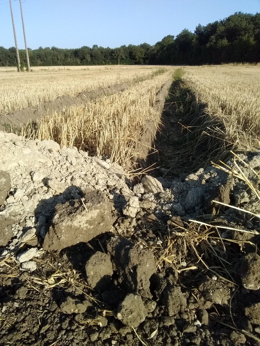 ButetValentin's tweet photo. Drainage de parcelle https://t.co/uDShii4dmC