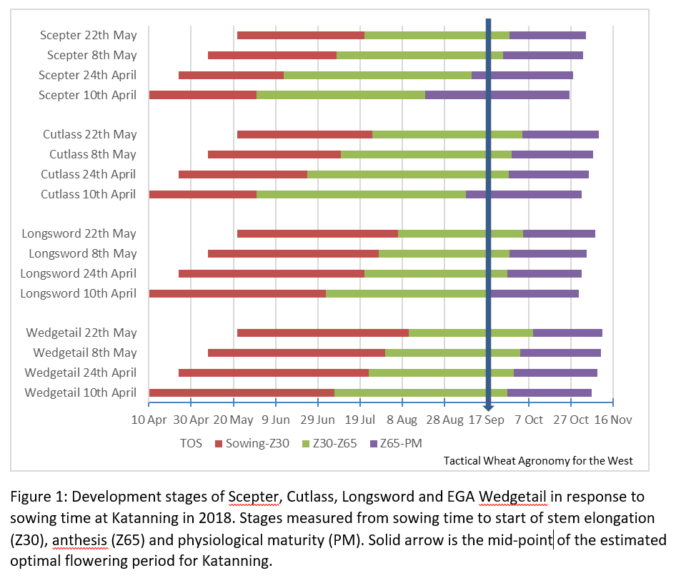 BrendaShackley's tweet photo. @tim_trezise @AgroJAK Some more growth stage data from Katanning in 2018 showing the start of stem elongation and flowering (as per @JC6450 ). 2020 data showing similiar response to Z30. DS Bennett was roughly 2 weeks later than EGA Wedgetail or Illabo at Katanning in 2019. Flower Power to be updated https://t.co/ON7eIhjSWg