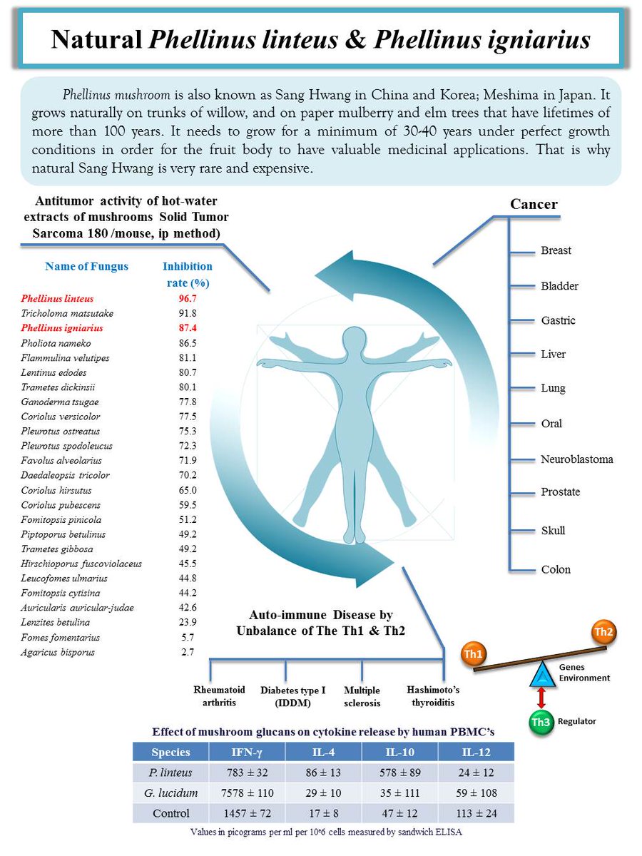 Aghpi1's tweet photo. #Covid_19 #COVID19 #coronavirus #coronavaccine #PI250 #PI400 #SangHwang #immunitybooster #immune
Website : https://t.co/vDMLKyOMMp
Line : @amazinggrace https://t.co/1hXp637iDE