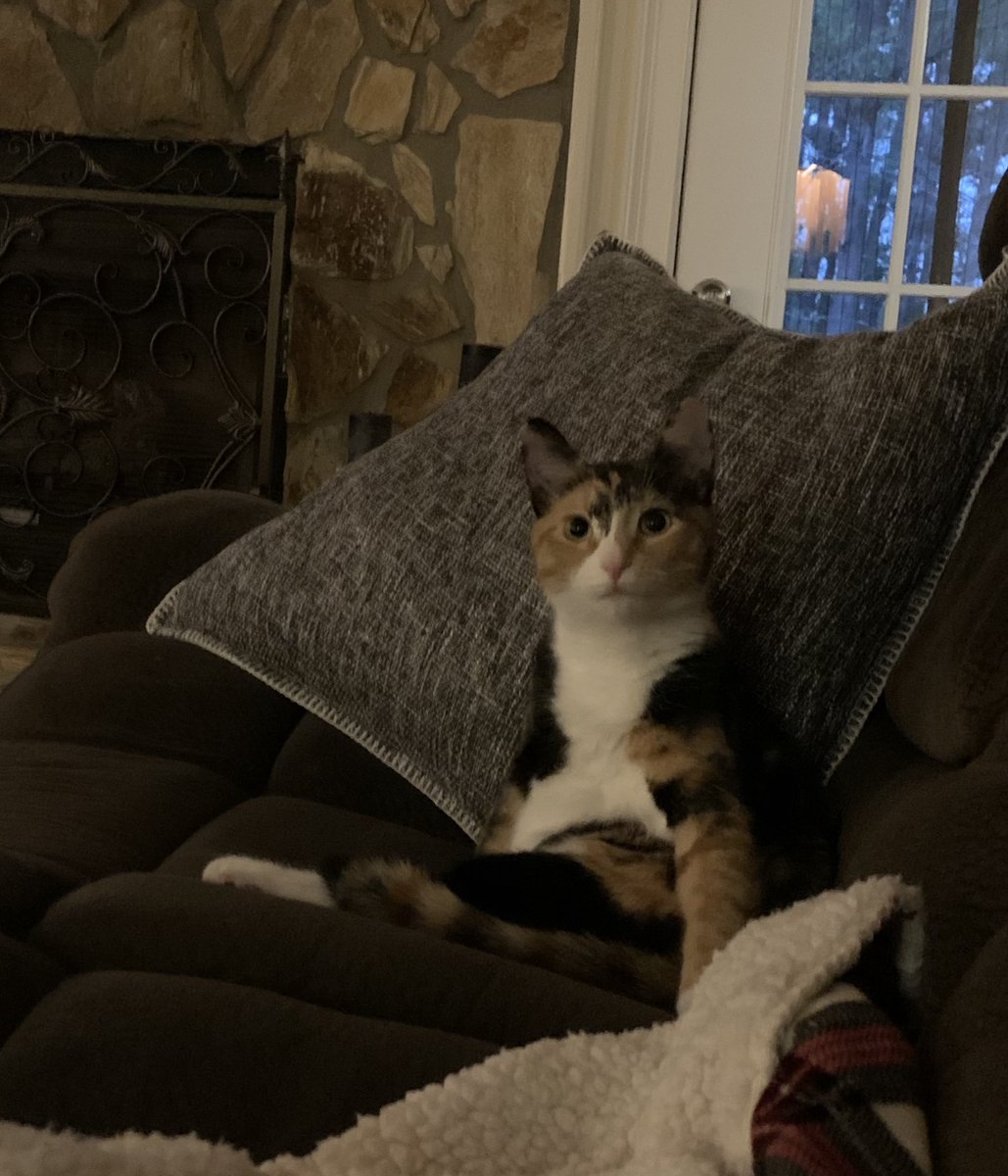 Rex Porter tweet media