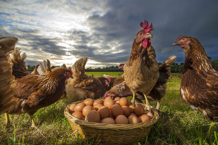 Paul Andrews tweet media