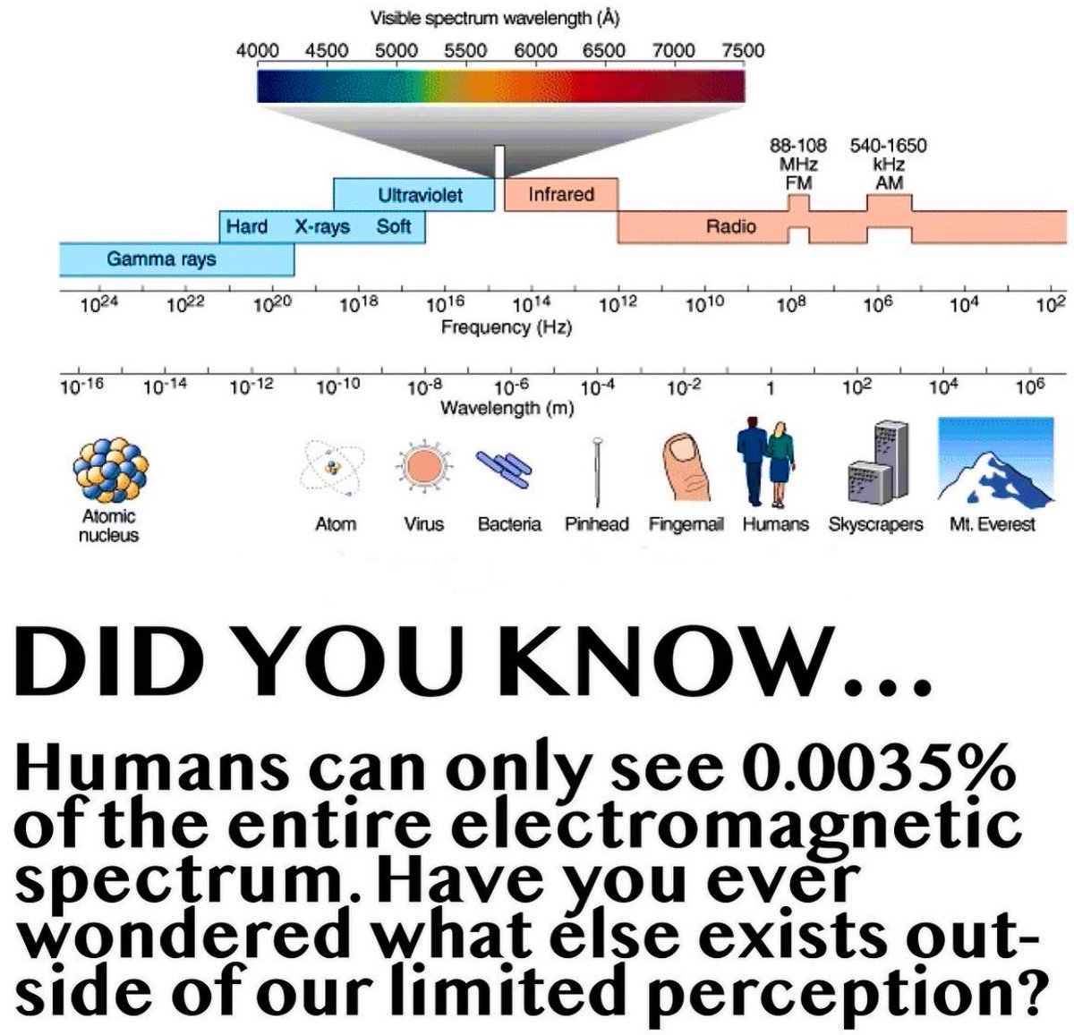 ZingleCJ's tweet photo. A typical human eye will respond to wavelengths from about 380-740 nanometers. This visible portion of the EM spectrum makes up an incredibly small fraction of the total - less than 1%.
We can only see about 0.0035% of the entire electromagnetic spectrum! https://t.co/wxZm00L7zr