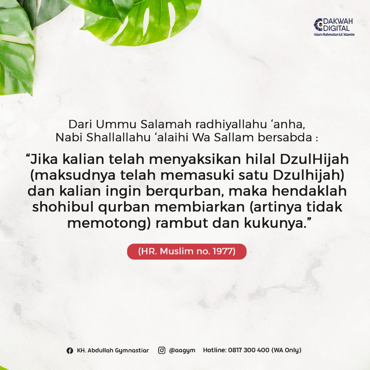 aagym's tweet photo. Sahabatku, InsyaAlloh nanti malam sudah memasuki 1 Dzuhijjah 1441.

Bagi yang hendak berqurban, ayoo kembali luruskan niat.

Jangan lupa juga perbanyak amalan sunnah lainnya, jangan sia-siakan bulan yang baik ini.

#dakwah #islamicquotes #sunnah #sahabat #islam #hadits #alquran https://t.co/DBo7XDWwFr