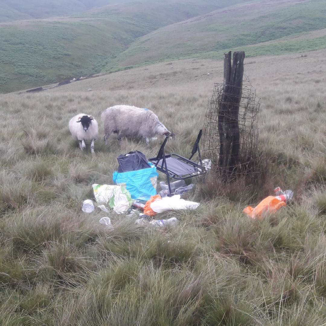 nationaltrust's tweet image. Help protect nature and wildlife by taking your litter home, sticking to campsites and encouraging others to do the same. When debris is left on a daily basis, it takes our rangers and local teams away from vital conservation work. 

Thanks for your help in spreading the word.