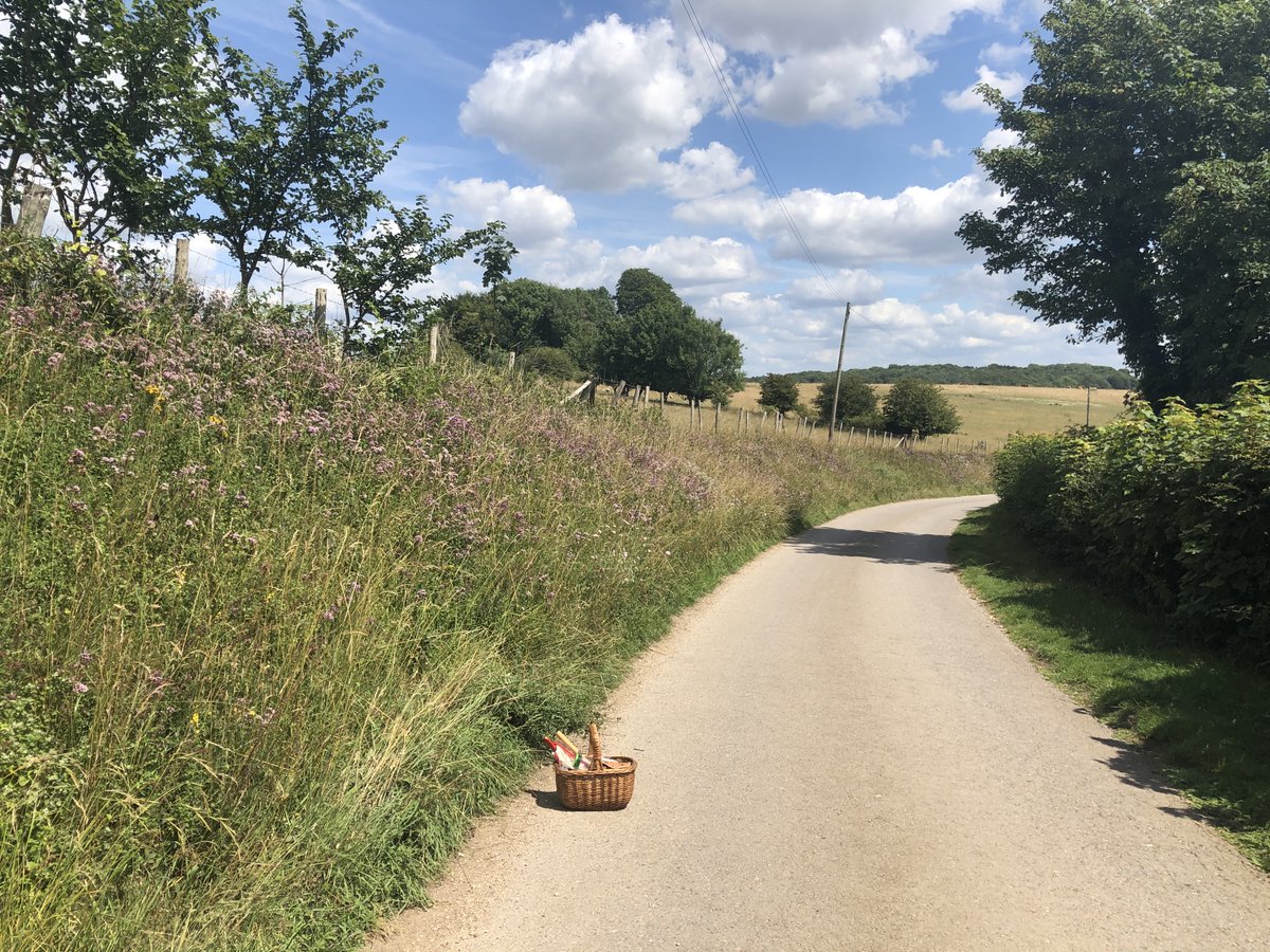 WildBeeBrighton's tweet photo. A glorious butterfly filled, car-free commute to the plot yesterday. The wildflower verges of @sdnpa around #StanmerPark are teeming with life- summer insect and flower magic! #butterflies #insects #wildflowers #biodiversity #Brighton 🦋❤️ https://t.co/T9T7xRKqAb