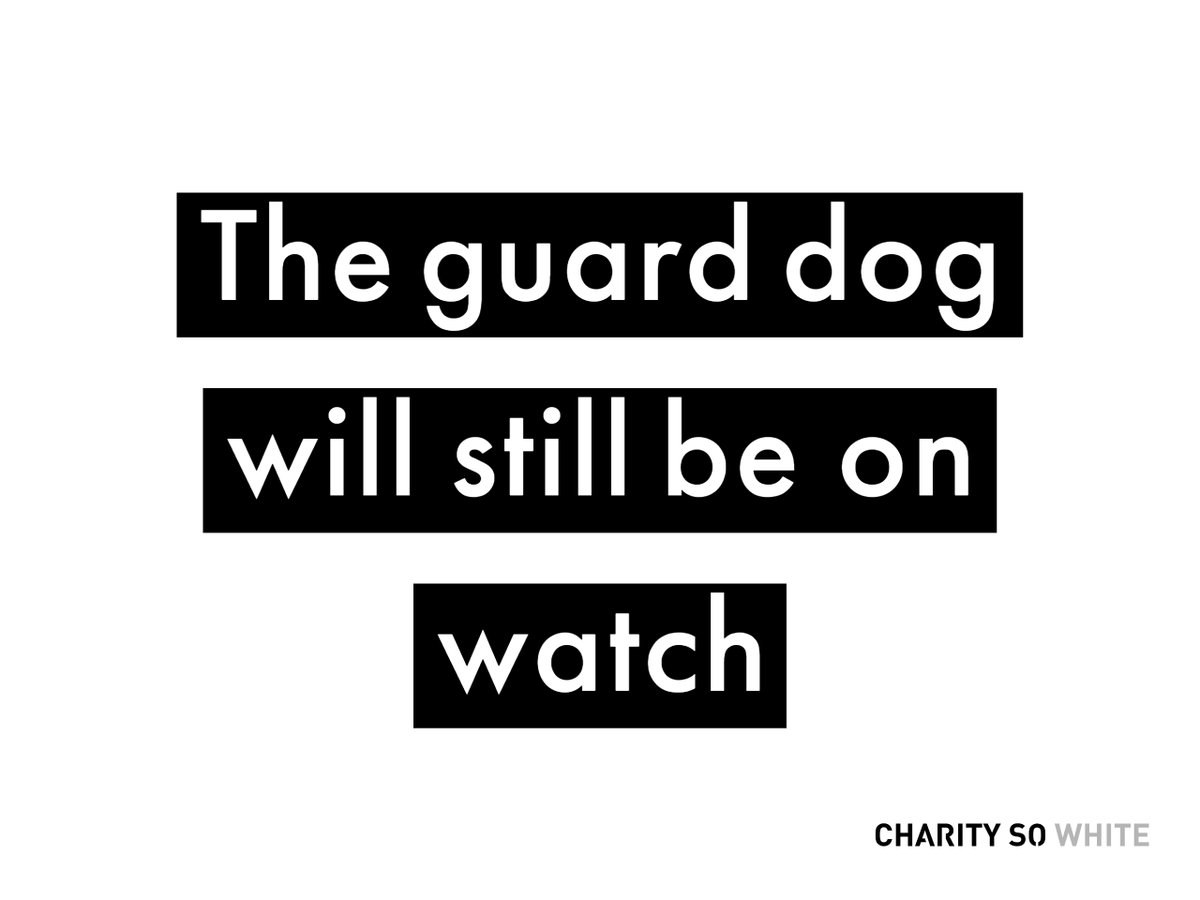 We are the guard dog of the charity sector and we fiercely protect the rights of racialised groups. But we can not stop there. To truly root out racist structures from the sector, we need the infrastructure to do so, infrastructure which a guard dog alone can not ensure.