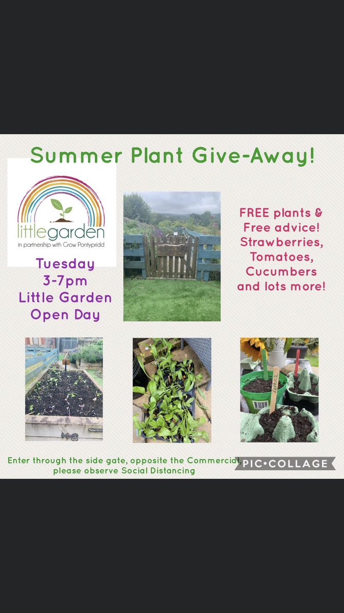 PontyLittleLounge tweet media