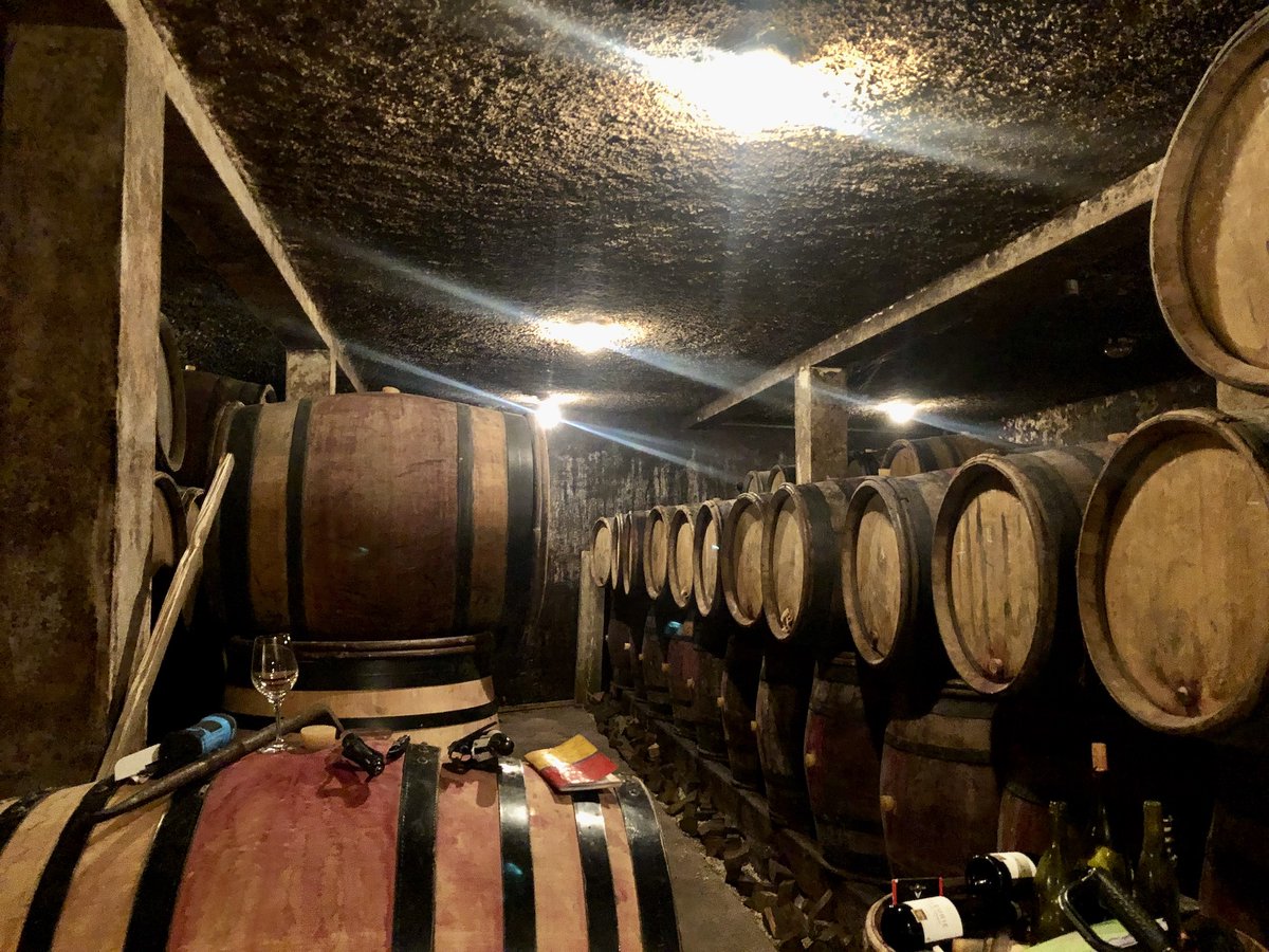 TheWineryUK's tweet photo. So many memorable wines come from this cellar. Freddy Lafarge, Volnay. Burgundy Bounty. https://t.co/acmlVwL1bg