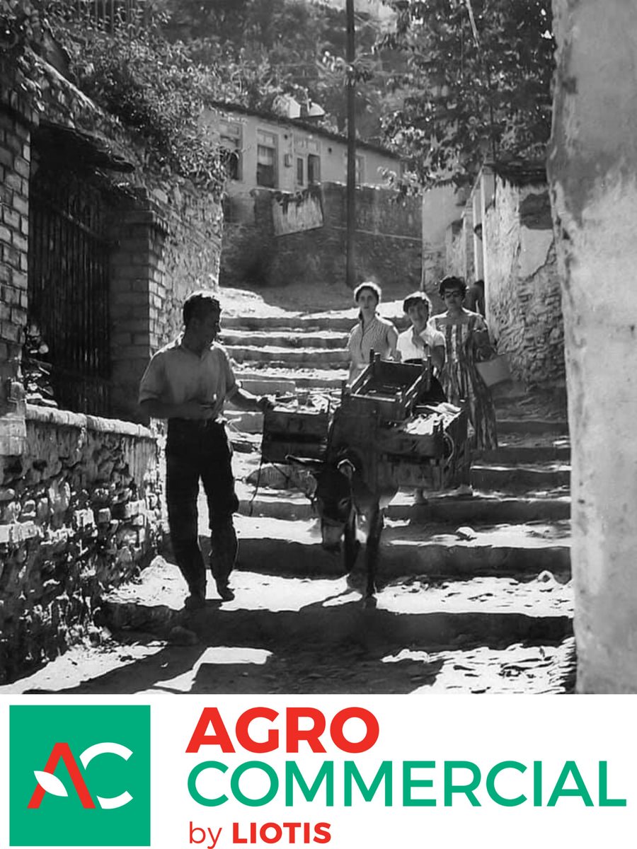 ΠΑΛΙΑ ΛΑΧΑΝΑΓΟΡΑ ΘΕΣΣΑΛΟΝΙΚΗΣ – Εκεί που ξεκίνησαν όλα για την AgroCommercial by Liotis

Μια μικρή ιστορική αναδρομή για την περιοχή που πρωτοξεκίνησε η Λαχαναγορά Θεσσαλονίκης αλλά και τις ρίζες της <a href="/ACbyLiotis/">AgroCommercial by Liotis</a>

<a href="/ChrisLiotis/">Chris Liotis</a>
 
bit.ly/2DWDA0a