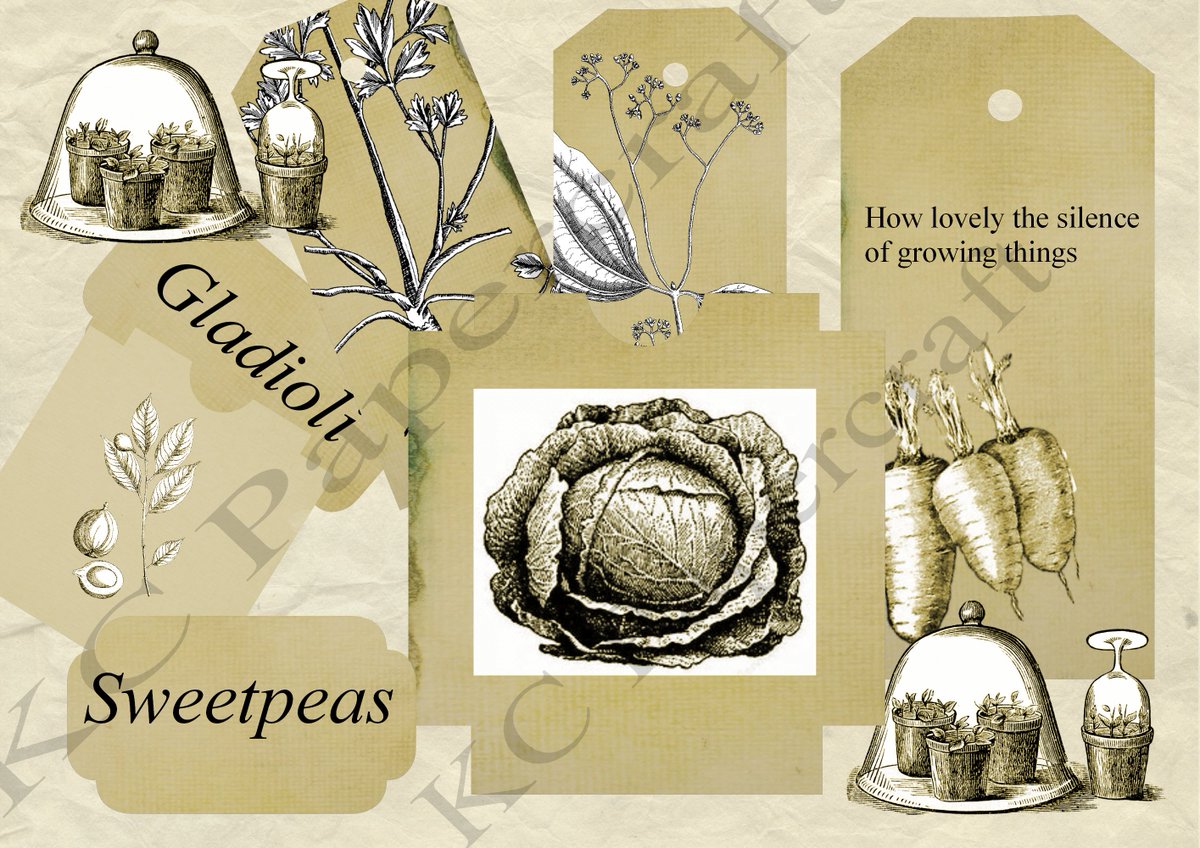 KcPapercraft's tweet image. Garden Pages by KCPapercraft etsy.me/32GCjoC via @Etsy