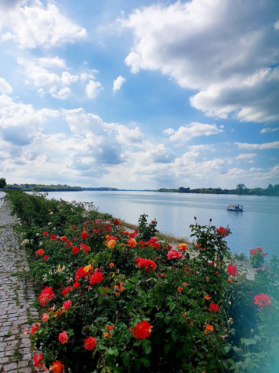 tangoandrakija's tweet photo. Ana went on a #Holiday from me 😋😋😛😜, at least  she sent me some nice #photos from #Serbia
Have a nice Tuesday #TravelTribe!

#Travel #Nature #Flowers #VisitSerbia #TravelBloggers #FlowerYourFeed #TuesdayMotivation https://t.co/FezWFRvubD