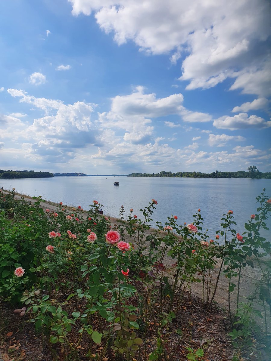 tangoandrakija's tweet photo. Ana went on a #Holiday from me 😋😋😛😜, at least  she sent me some nice #photos from #Serbia
Have a nice Tuesday #TravelTribe!

#Travel #Nature #Flowers #VisitSerbia #TravelBloggers #FlowerYourFeed #TuesdayMotivation https://t.co/FezWFRvubD