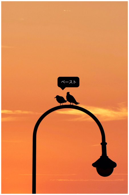 「orange sky」 illustration images(Popular｜RT&Fav:50)