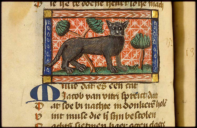 ...Cats that followed these rodents into human settlements would have been tolerated (and possibly encouraged) because of their usefulness in getting rid of pests. #cats #historyofpets #pethistory #historicpets
