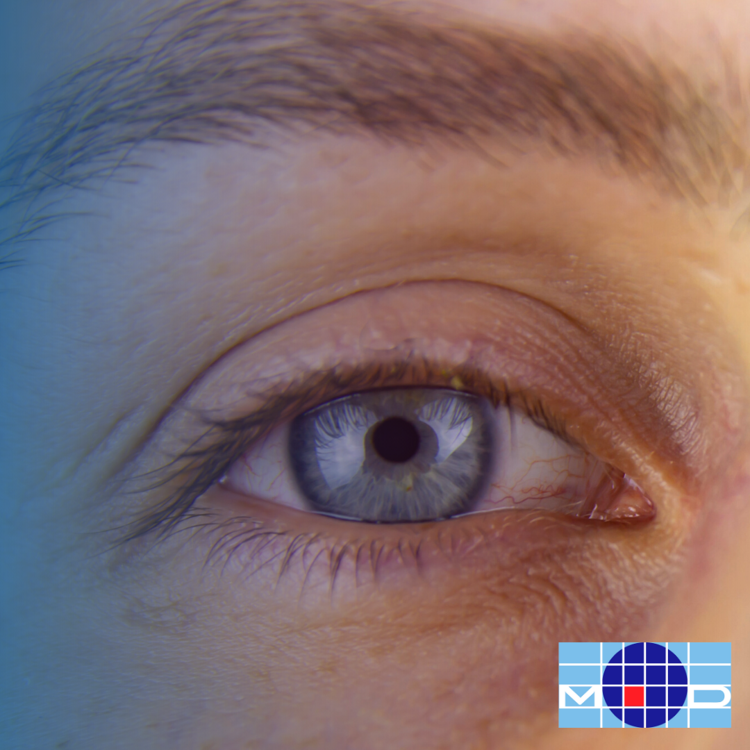 occhio_it's tweet photo. 👁️🏥 Visita esami chirurgia | Abbiamo tutto in casa! Noi non ti facciamo spostare per la città. Ambulatori, area chirurgica per day surgery. 

Scopri di più!

https://t.co/mVc2MoJxKA
- - -⁣⁣
☎️ 011.2309811 https://t.co/2dR6RoZRLr