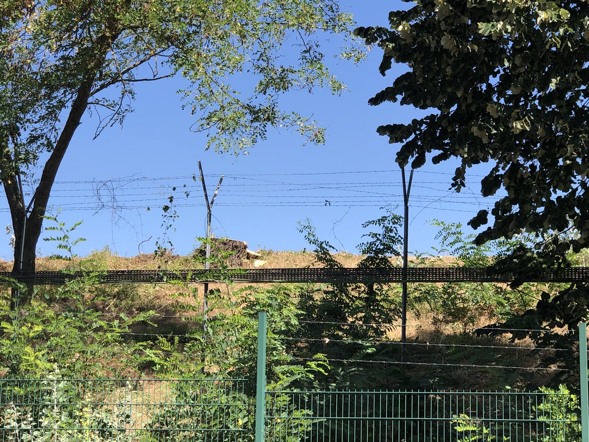 CyrilBauchais's tweet photo. 🤬Dégoûté !
Depuis plusieurs années maintenant, chaque matin j’entendais un petit Pic vert taper sur le bois des arbres qui étaient là depuis des décennies. 🐦 

Ces arbres, comme vous pouvez le voir sur ces photos étaient en bord de voie et surtout loin des travaux... 

1/3 https://t.co/T62KMNcl4O