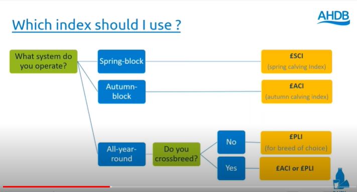 AHDB_Dairy's tweet photo. Using the right breeding index is key to maximising your herd's performance. Whether you calve AYR or in a block, there's a dedicated index for you. Watch our webinar to understand which one's right for you: https://t.co/a9ScIZJaVH #BreedingBlocks https://t.co/Yl1Q2v6iDT