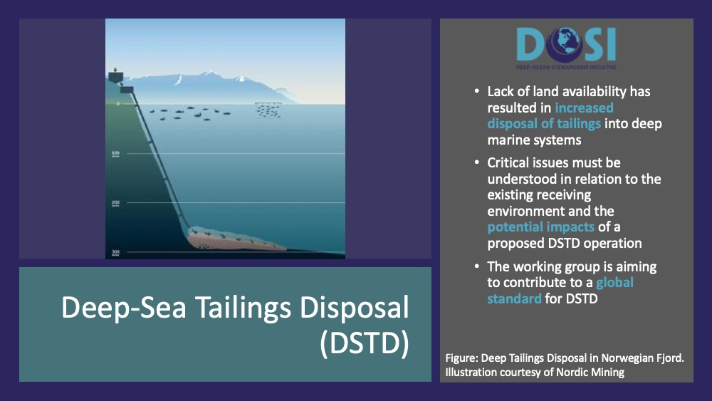 DeepStewardship's tweet photo. The DOSI DSTD working group is aiming to contribute to a global standard for #DSTD and will co-host a workshop with Norwegian Minerals Industry to scope and kick start this in June 2021. Find out more about their activities and how you can get involved: https://t.co/TFokf6pj5N https://t.co/5b4BqtOxkD