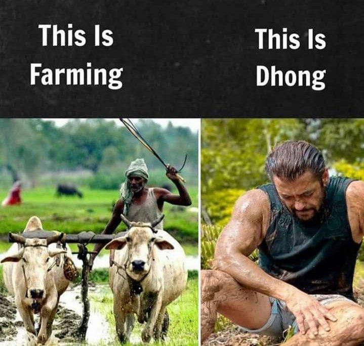 SK37993457's tweet photo. @BeingSalmanKhan Real farming https://t.co/BuVXlmgXqP