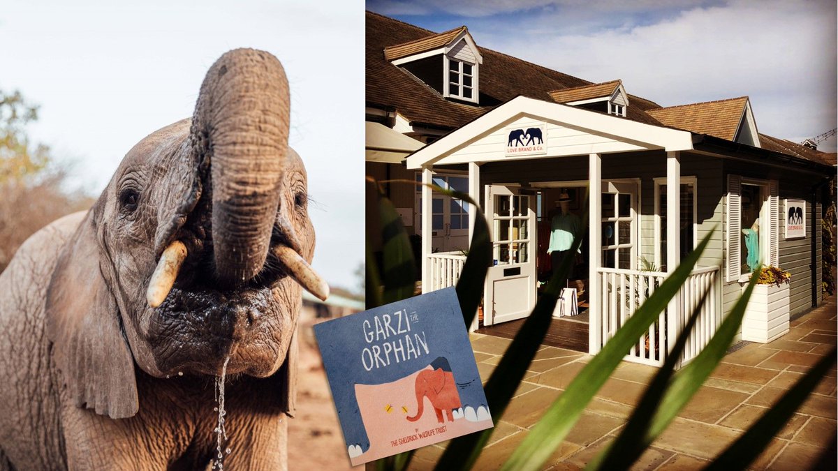 SheldrickTrust's tweet photo. #TrunksForTrunks – Share the elephant love at @lovebrandco’s summer store. Supporting SWT as their hero charity this year, LOVE BRAND shoppers can get their hands on more than just swimwear, with our #GarziTheOrphan book included with purchases from the @bicestervillage pop-up. https://t.co/frDZlnqz3O