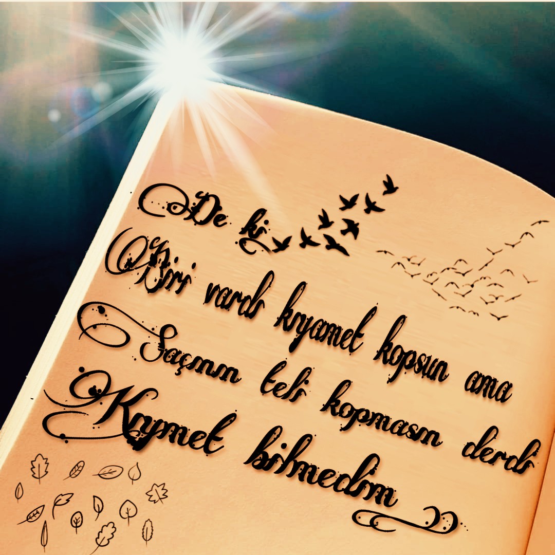 Davut_can0402's tweet photo. #bir #turlu #benim #olmayanim https://t.co/tMc4WSToKl