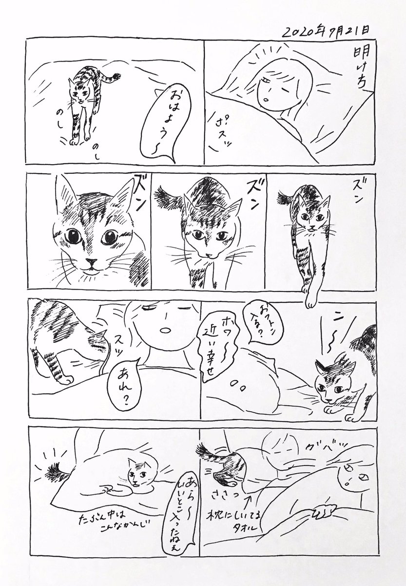 2020/7/21のぎんちゃん  #今日のぎんちゃん 