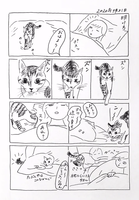 2020/7/21のぎんちゃん  #今日のぎんちゃん 