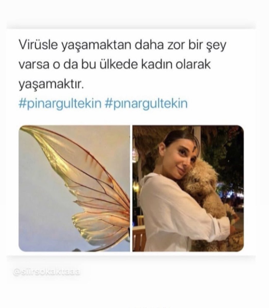 nilayakturkk's tweet photo. #kadıncinayeti #pinargultekin #KadınCinayetlerineDurDe https://t.co/K9byufIuOR