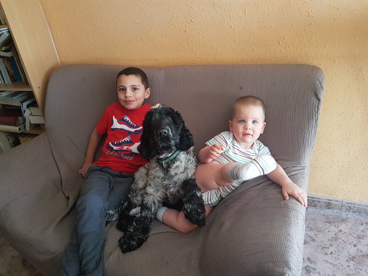 "Que el perro sólo viva 15 años, es una estafa al amor". #diainternacionaldelperro