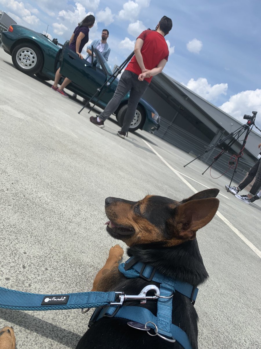 Gestern endlich mal zu @sport1esports geschafft-lange Jahre gute Kollegen und Freunde, aber nie hat's geklappt😅Umso mehr hat mich der Besuch gefreut -thx für eure Gastfreundschaft gegenüber mir&amp;Hundi Mozzie @fiiloude, <a href="/sitokigaming/">Fabian "Sitoki" Sieroka 🌱</a>, <a href="/RobAhlert/">Rob(in) Ahlert</a>! Hat Spaß gemacht, gerne wieder❤️