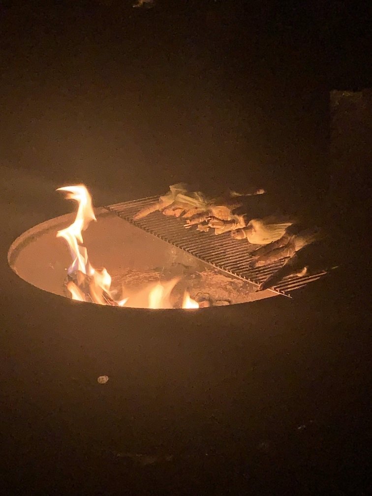 mexitrachos's tweet photo. A great thing about Summer - getting outside &amp; roasting a little 🌽 over 🔥 #eloteloco anyone?! 

#districteats #sabormexicano #comidacatracha #dcfoodtrucks #honduranfood #eaterdc https://t.co/pNiGf6CxGy