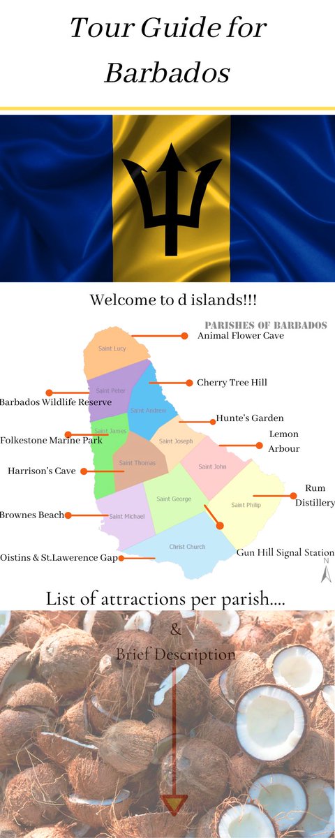 dominicskinne18's tweet photo. Creation of graphics tells a hundred stories!! Here is my visual representation of my home land !!#humbercontent #barbados #welcometobarbados #comevisit https://t.co/x7koO6bC2f