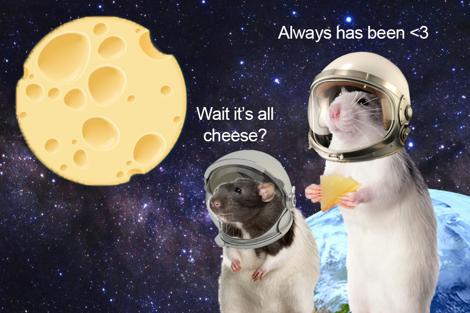 WholesomeMeme's tweet photo. https://t.co/fXgobcsutF