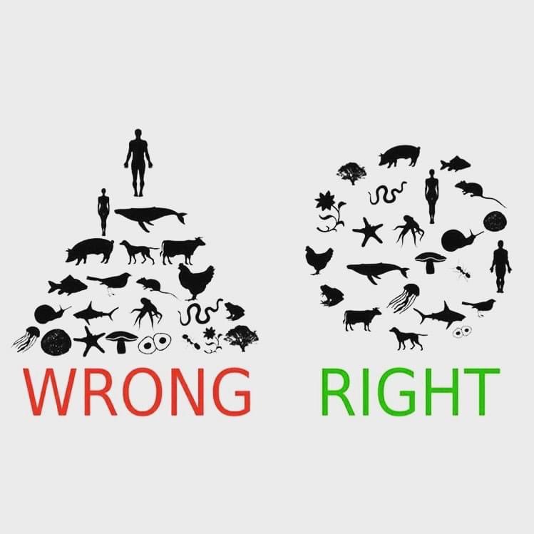 Switch from Ego to Eco and follow our story <a href="/HouseofEunice/">Rachel Joseph</a> where we have gone back to the older kinder ways of #producingless #ecofriendly #sustainable #consciousliving #goinggreen #noharshchemicals #naturaldyes #noorecoblockprints  thehouseofeunice.com