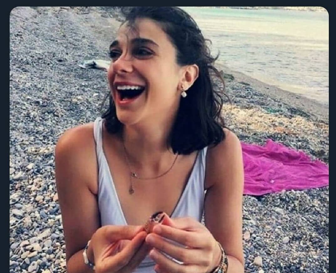 Ne sevmeyi beceriyorsunuz nede insan olmayı Allah belanızı versin ..
#pinargultekin