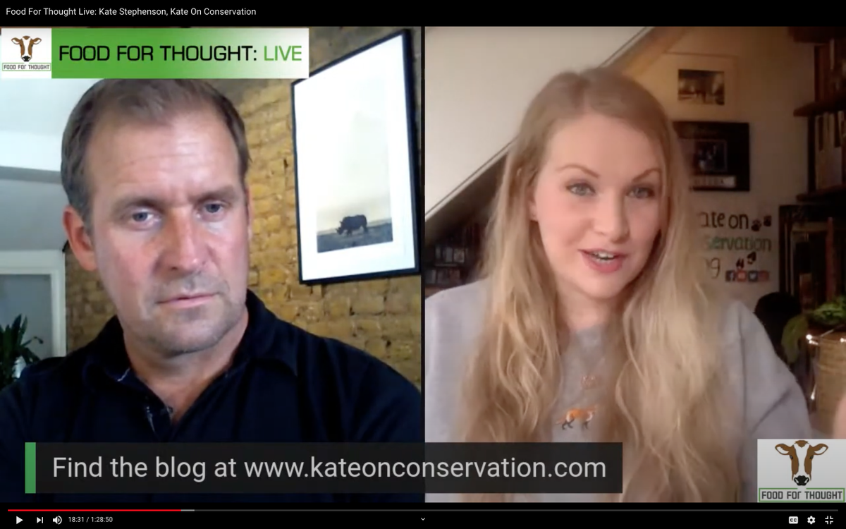 KateConsrvation's tweet photo. So wonderful to be invited to chat to 
@dan710ths on Food For Thought Live earlier this month! We got to talk about all things 
@BornFreeFDN, blogging and believing in a better, wilder future for wildlife! Watch it back here: https://t.co/ZjJspeqCLX @willtravers @talktotheclaws https://t.co/vBsVfVnmEm