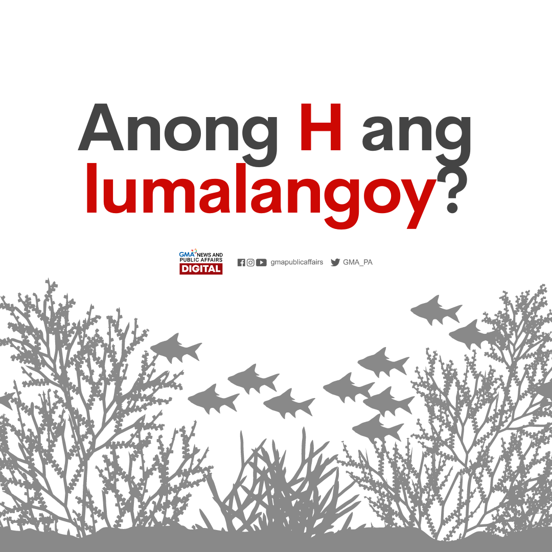 GMA_PA's tweet photo. Patulong naman. 😁

@aha_gma7 https://t.co/tKvKYD7ksS